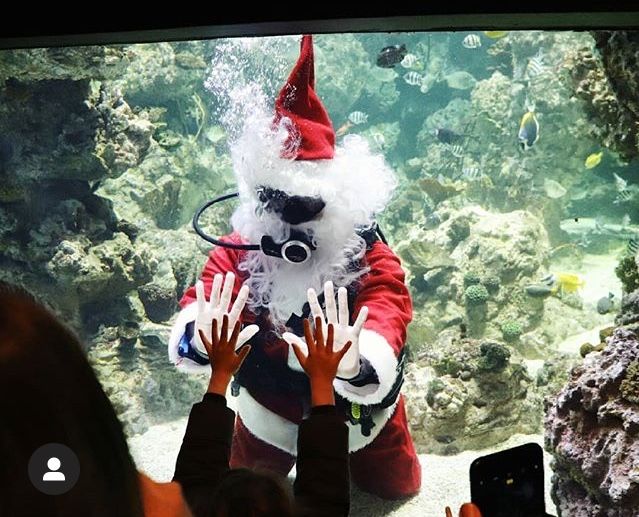Kids can have their picture taken with Santa Diver at Planet Ocean.